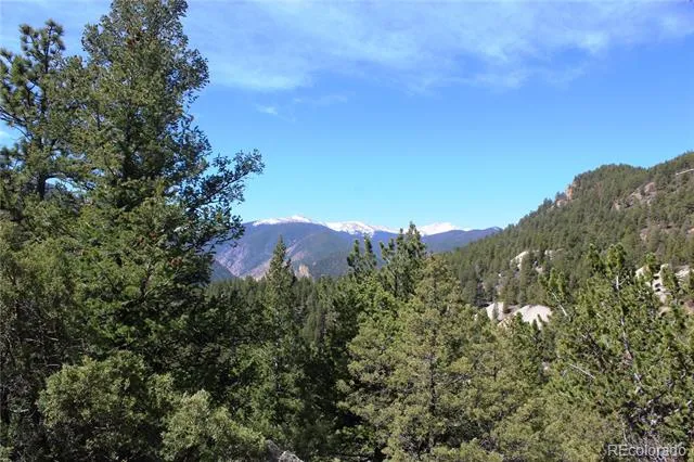 00 County Rd 308 Idaho Springs, CO 80436