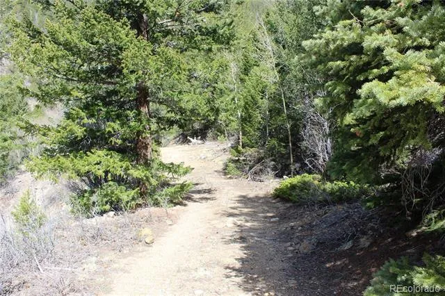 00 County Rd 308 Idaho Springs, CO 80436
