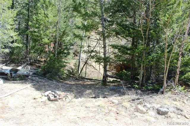 00 County Rd 308 Idaho Springs, CO 80436