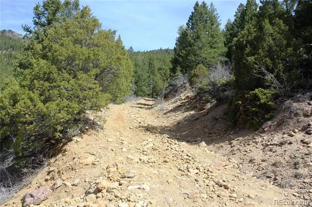 00 County Rd 308 Idaho Springs, CO 80436