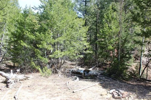 00 County Rd 308 Idaho Springs, CO 80436