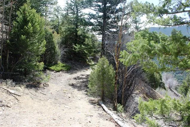 00 County Rd 308 Idaho Springs, CO 80436