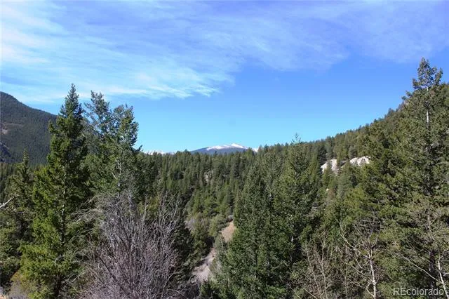 00 County Rd 308 Idaho Springs, CO 80436