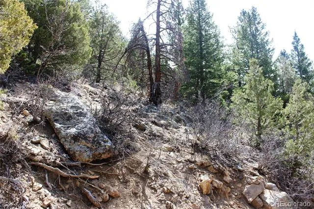 00 County Rd 308 Idaho Springs, CO 80436