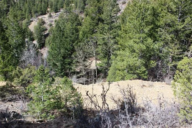00 County Rd 308 Idaho Springs, CO 80436
