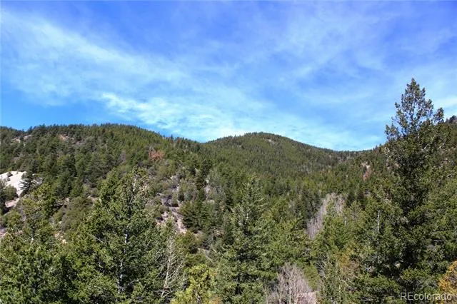 00 County Rd 308 Idaho Springs, CO 80436