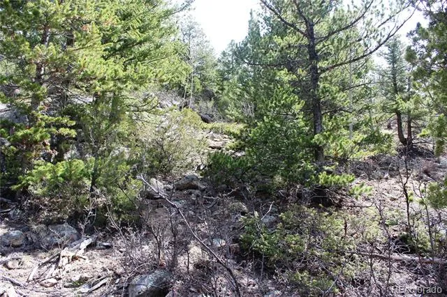 00 County Rd 308 Idaho Springs, CO 80436