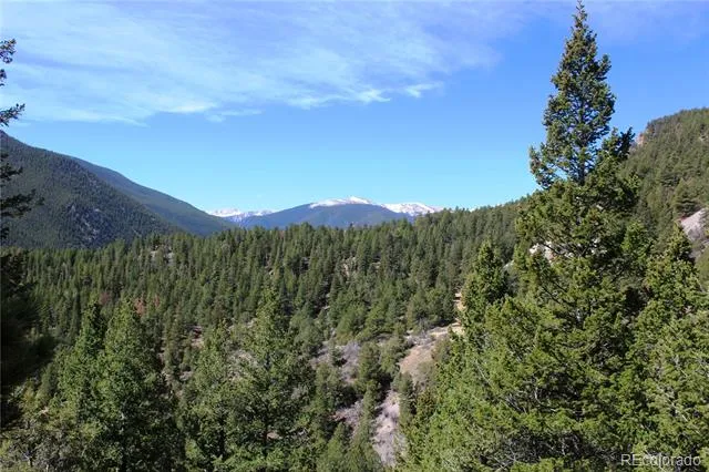 00 County Rd 308 Idaho Springs, CO 80436