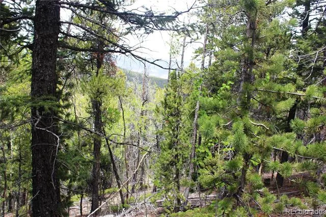 19129 Eliza Idaho Springs, CO 80461