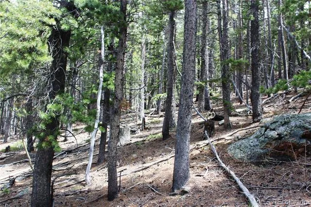 19129 Eliza Idaho Springs, CO 80461
