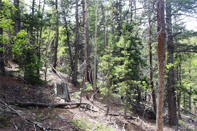 19129 Eliza Idaho Springs, CO 80461