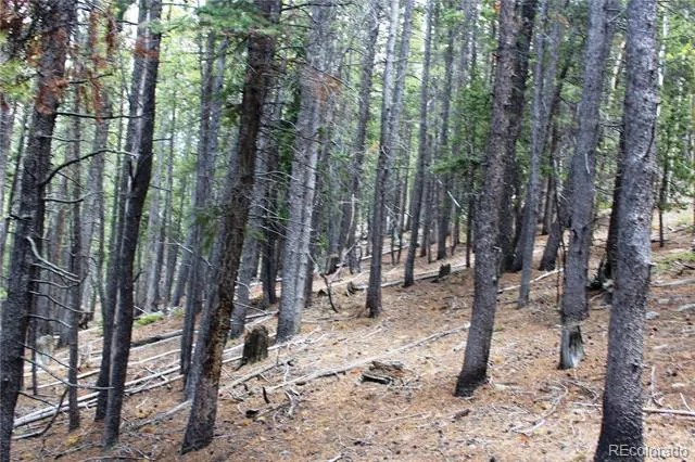 19129 Eliza Idaho Springs, CO 80461