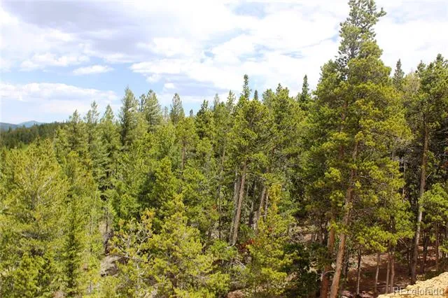 19129 Eliza Idaho Springs, CO 80461