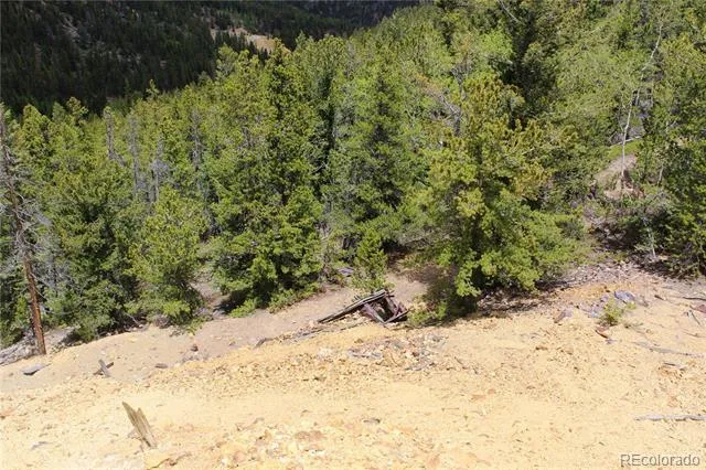 19129 Eliza Idaho Springs, CO 80461