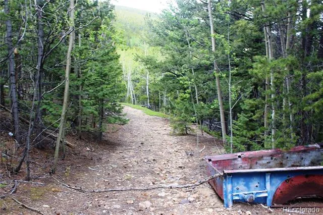 19129 Eliza Idaho Springs, CO 80461