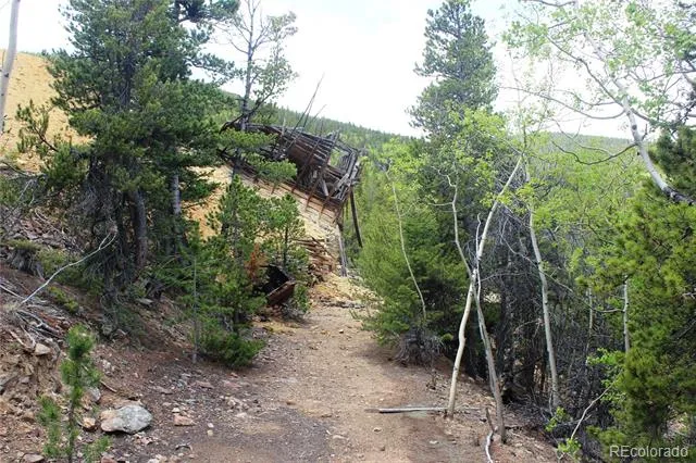 19129 Eliza Idaho Springs, CO 80461