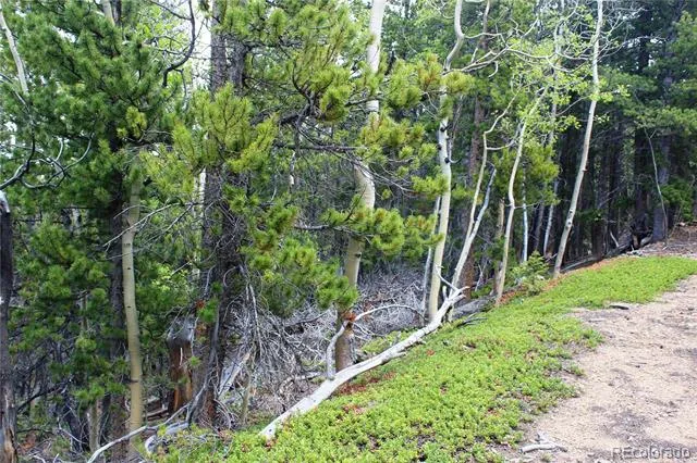 19129 Eliza Idaho Springs, CO 80461