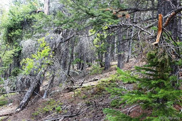 19129 Eliza Idaho Springs, CO 80461