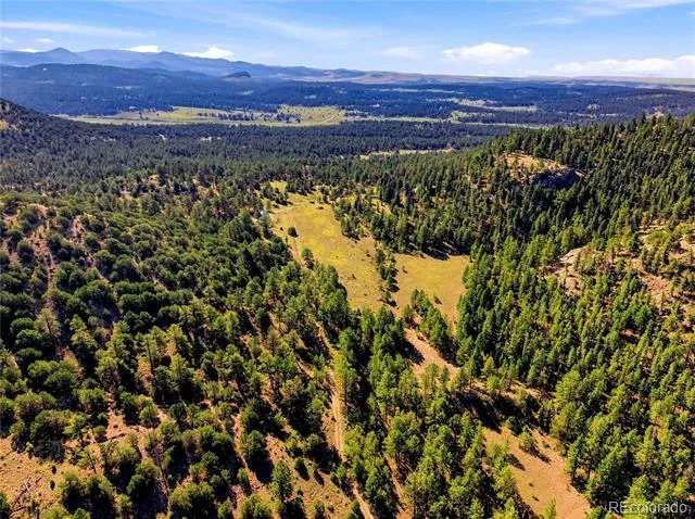 2323 CR 323 Westcliffe, CO 81252