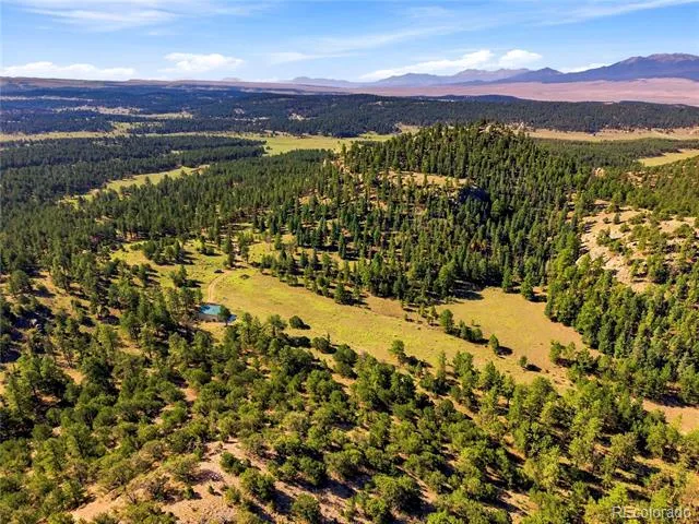 2323 CR 323 Westcliffe, CO 81252