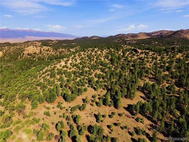 2323 CR 323 Westcliffe, CO 81252