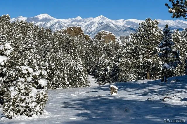 2323 CR 323 Westcliffe, CO 81252