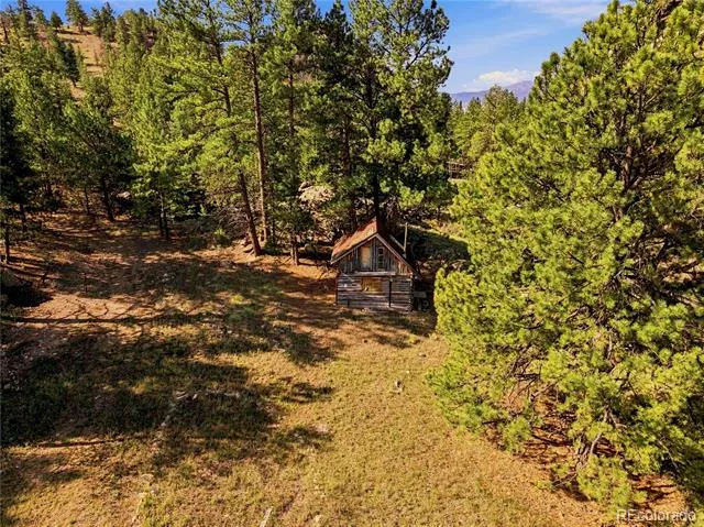 2323 CR 323 Westcliffe, CO 81252