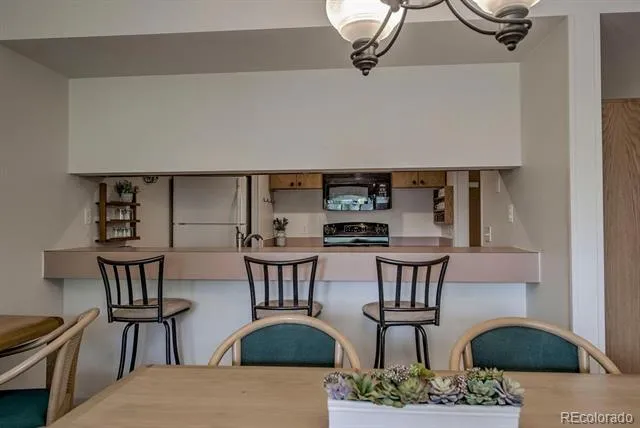 22097 Saints John Road #2521 Dillon, CO 80435