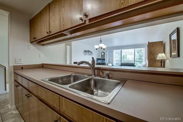 22097 Saints John Road #2521 Dillon, CO 80435