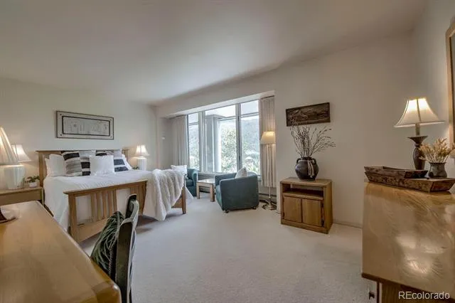 22097 Saints John Road #2521 Dillon, CO 80435