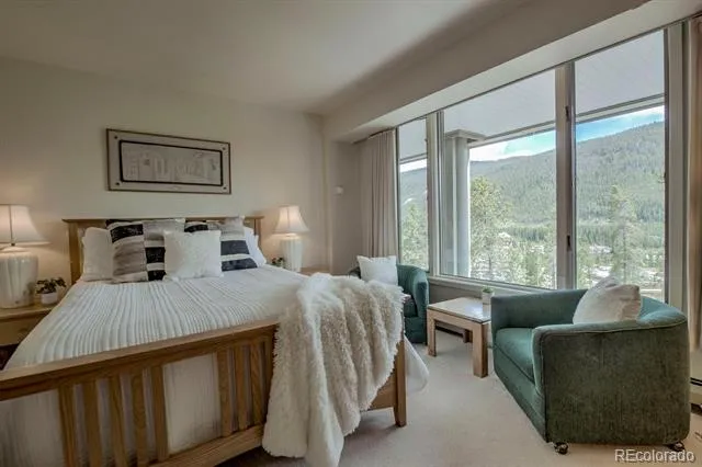 22097 Saints John Road #2521 Dillon, CO 80435