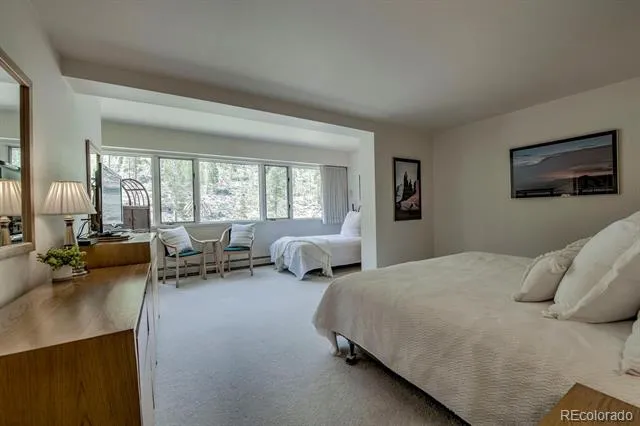 22097 Saints John Road #2521 Dillon, CO 80435