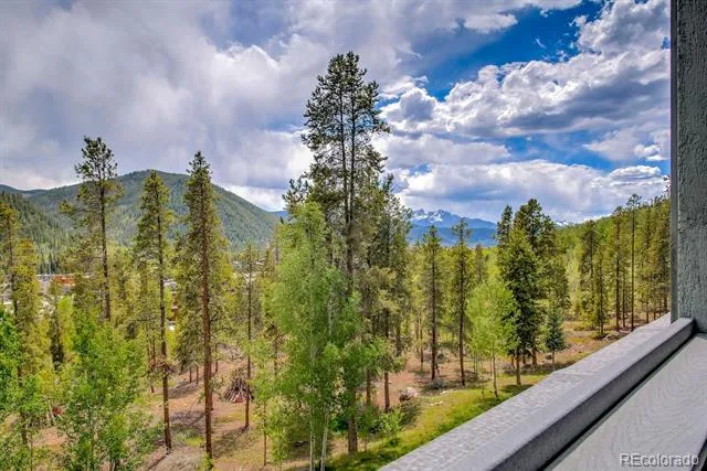 22097 Saints John Road #2521 Dillon, CO 80435