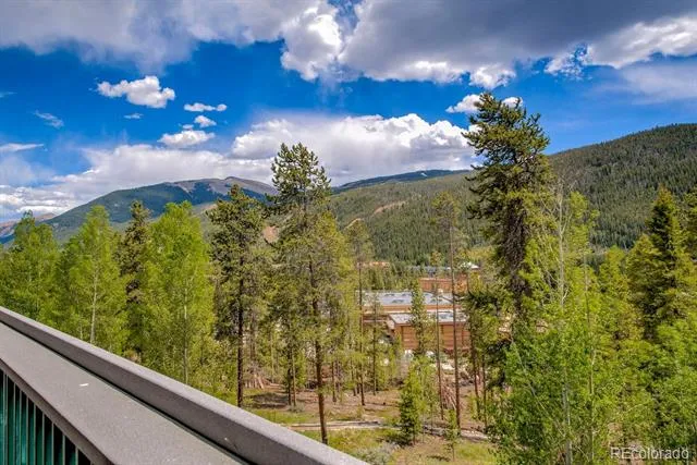 22097 Saints John Road #2521 Dillon, CO 80435