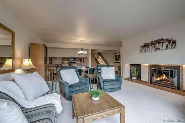 22097 Saints John Road #2521 Dillon, CO 80435