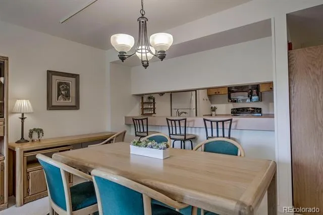 22097 Saints John Road #2521 Dillon, CO 80435