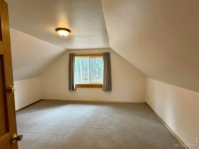 393 Pine Cone Drive Ward, CO 80481