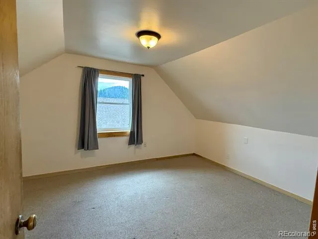 393 Pine Cone Drive Ward, CO 80481
