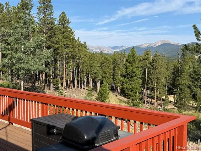 393 Pine Cone Drive Ward, CO 80481