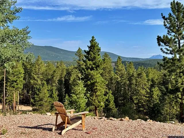 393 Pine Cone Drive Ward, CO 80481