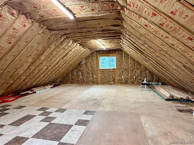 393 Pine Cone Drive Ward, CO 80481