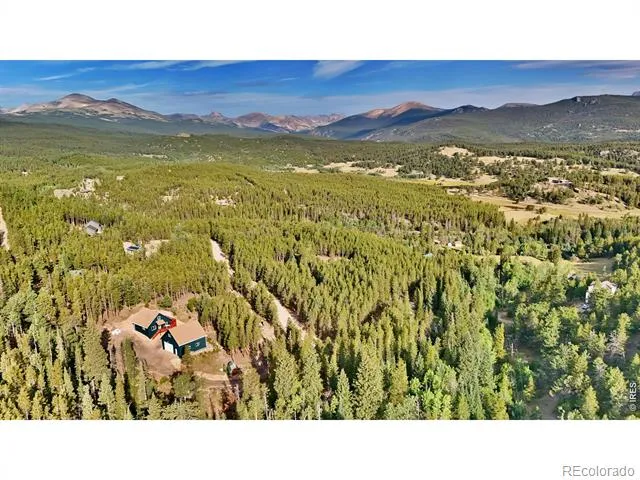 393 Pine Cone Drive Ward, CO 80481