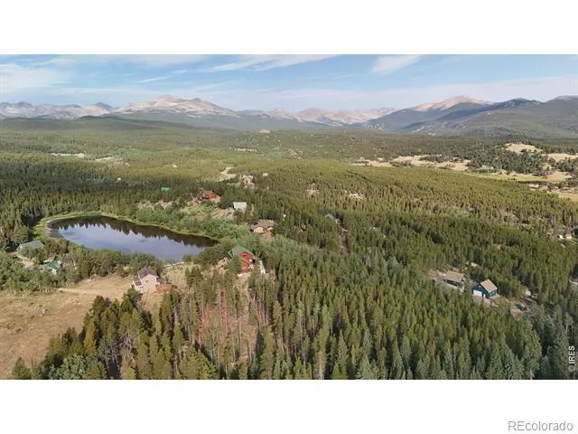393 Pine Cone Drive Ward, CO 80481