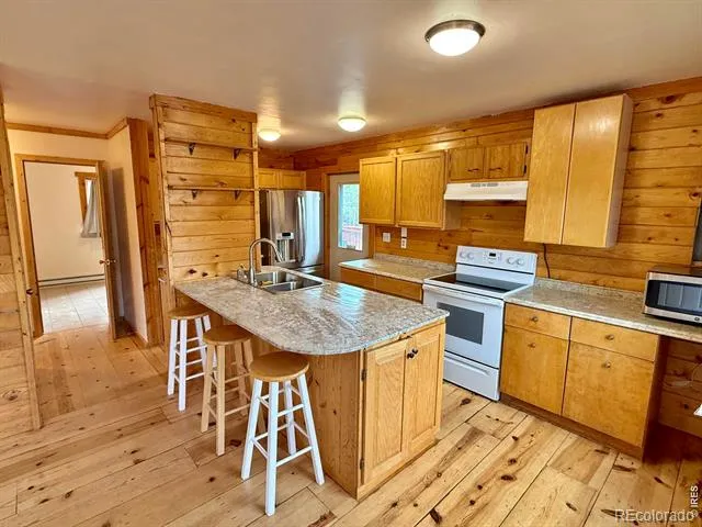 393 Pine Cone Drive Ward, CO 80481