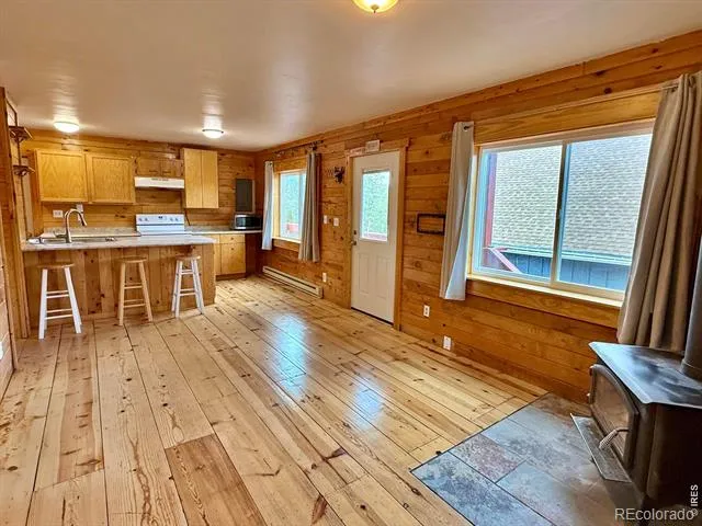 393 Pine Cone Drive Ward, CO 80481