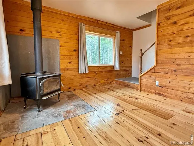 393 Pine Cone Drive Ward, CO 80481