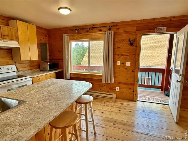 393 Pine Cone Drive Ward, CO 80481