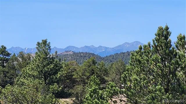 161 Ponderosa Lane Cotopaxi, CO 81223