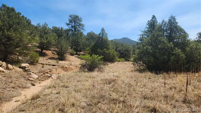161 Ponderosa Lane Cotopaxi, CO 81223