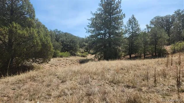 161 Ponderosa Lane Cotopaxi, CO 81223